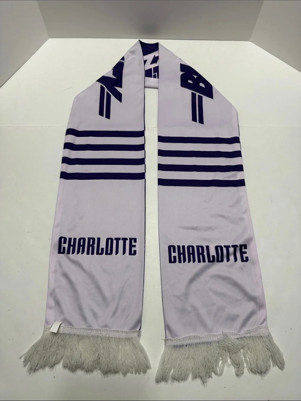 City Buzz Light Lavender Fringe Scarf with Soft White Tassels